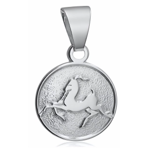 Okrągły srebrny wisior wisiorek znak zodiaku Koziorożec Capricorn srebro 925